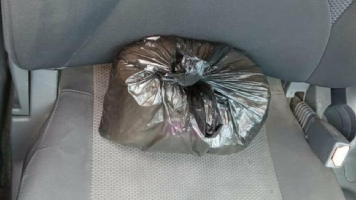 Vehículo utilizado para traficar marihuana pasa al Estado