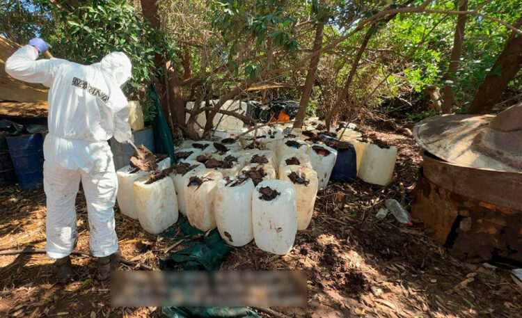 Potente. En 2025 Wahington declaró, al fentanilo como una arma de destrucción masiva. Foto: Cortesía
