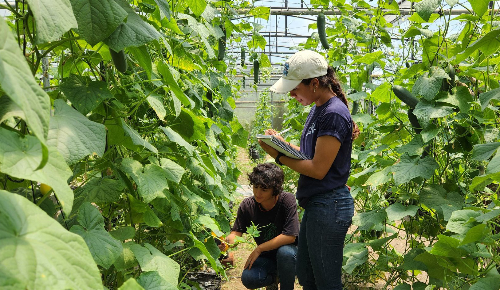 Plan Trifinio proyecta certificar el Sistagro con la Universidad de Bolonia