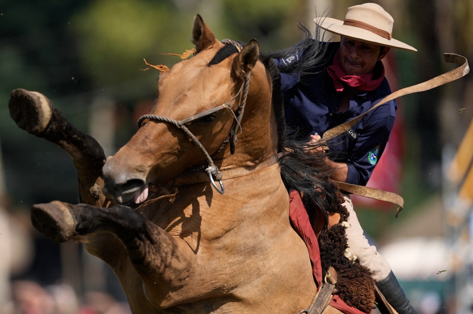 La tradición de jineteadas sigue viva en Montevideo