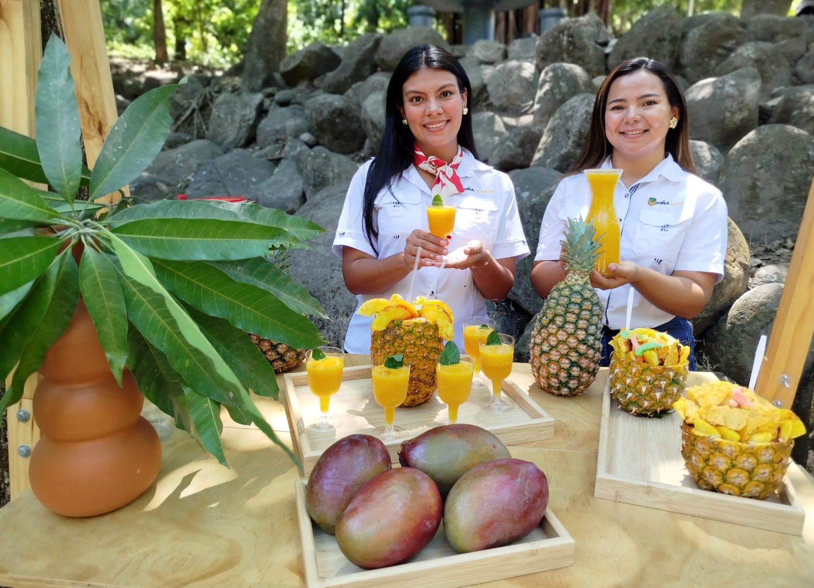 El ISTU tendrá la Expo Mango 2026 de dos días en Ichanmichen