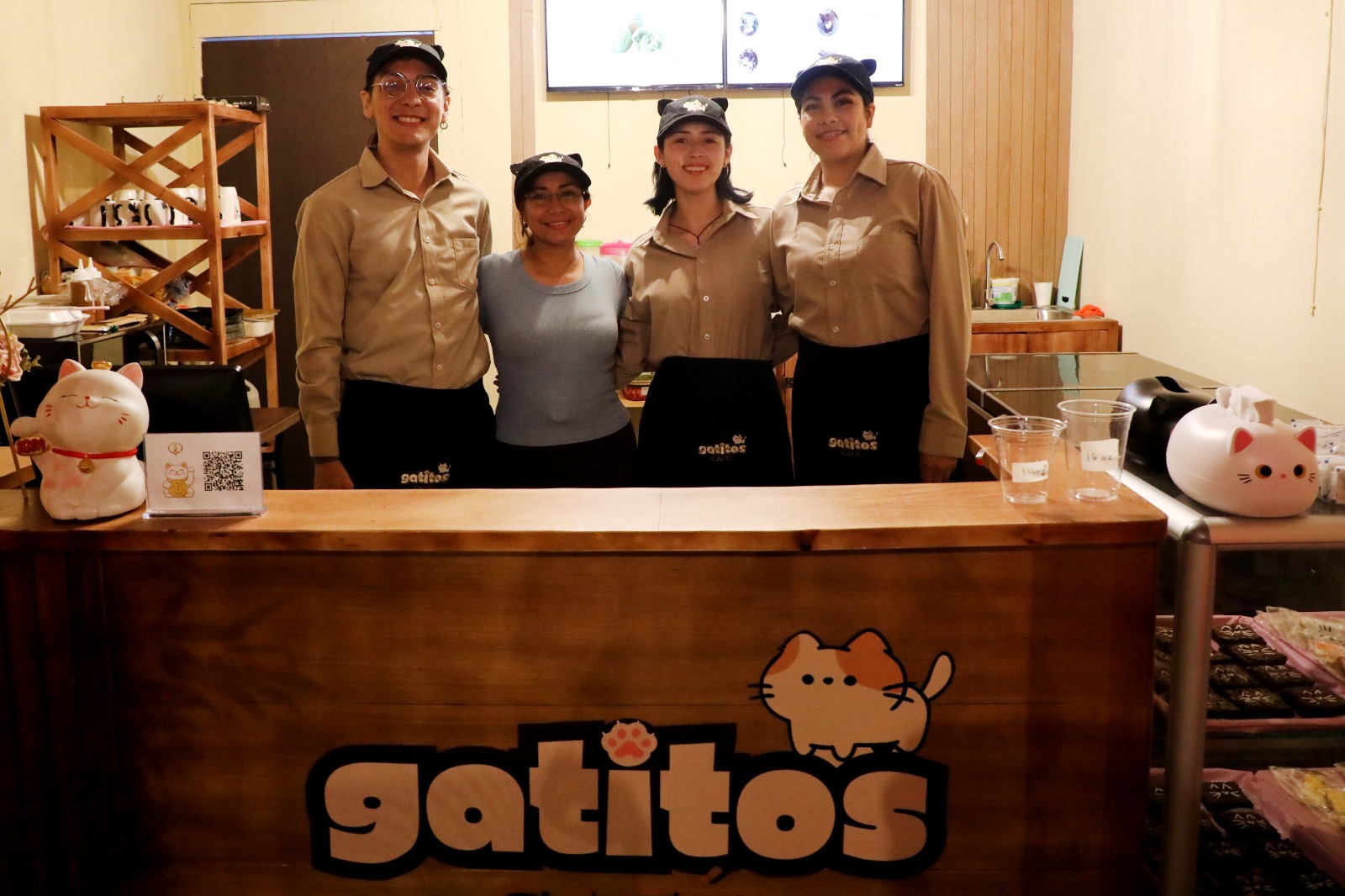 Gatitos Café, un ronroneo de tranquilidad en El Salvador