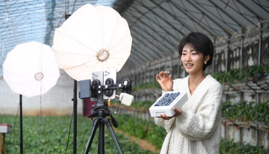 Sector de comercio electrónico de China registra crecimiento estable en primer trimestre de 2026