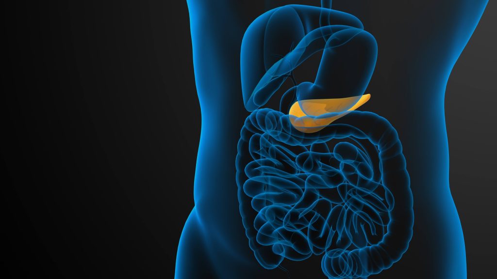 Modelo de IA de Mayo Clinic detecta anticipada el cáncer de páncreas