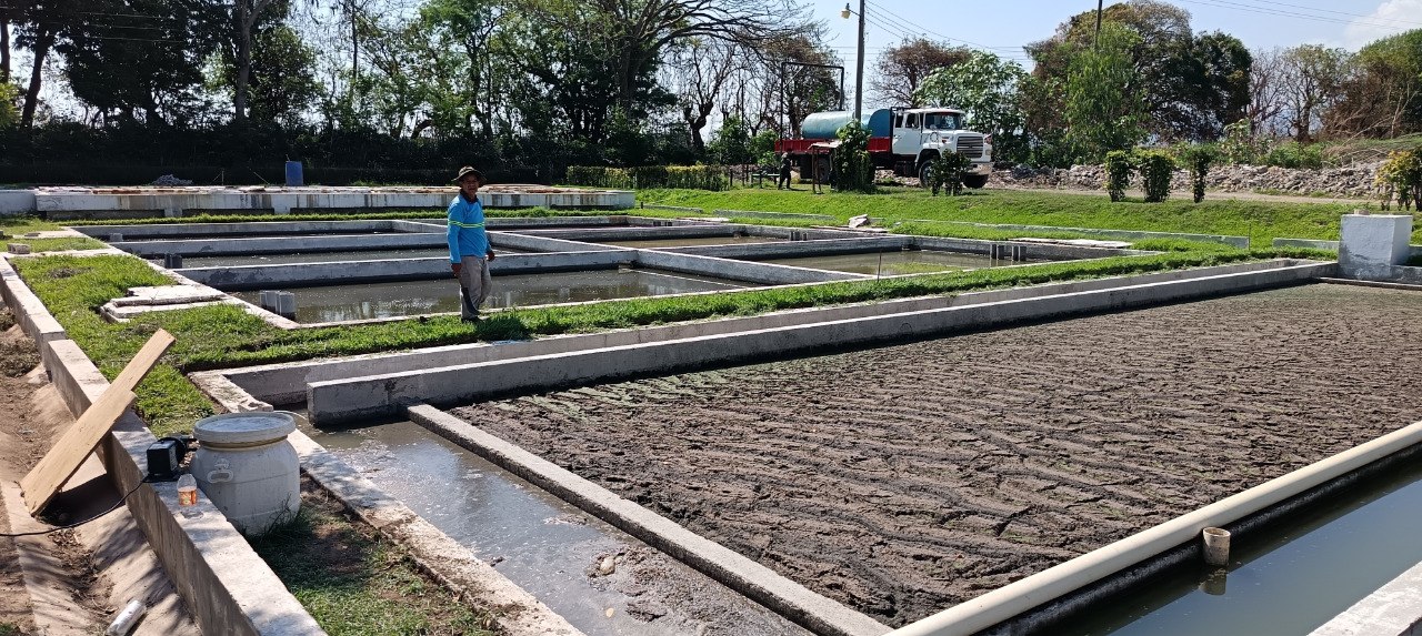 Fortalecen acciones para garantizar la protección y cuidado del río Tres Ceibas
