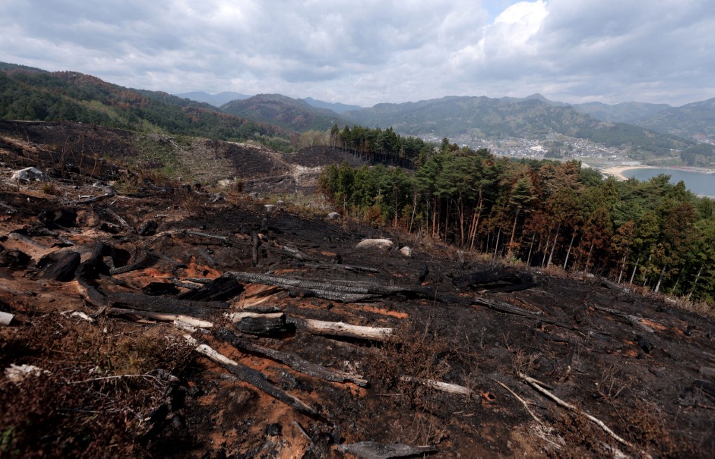 Japón contiene tras 11 días uno de los mayores incendios forestales en décadas