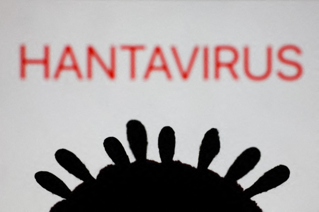El riesgo del brote de hantavirus para la población es «absolutamente bajo», insiste OMS
