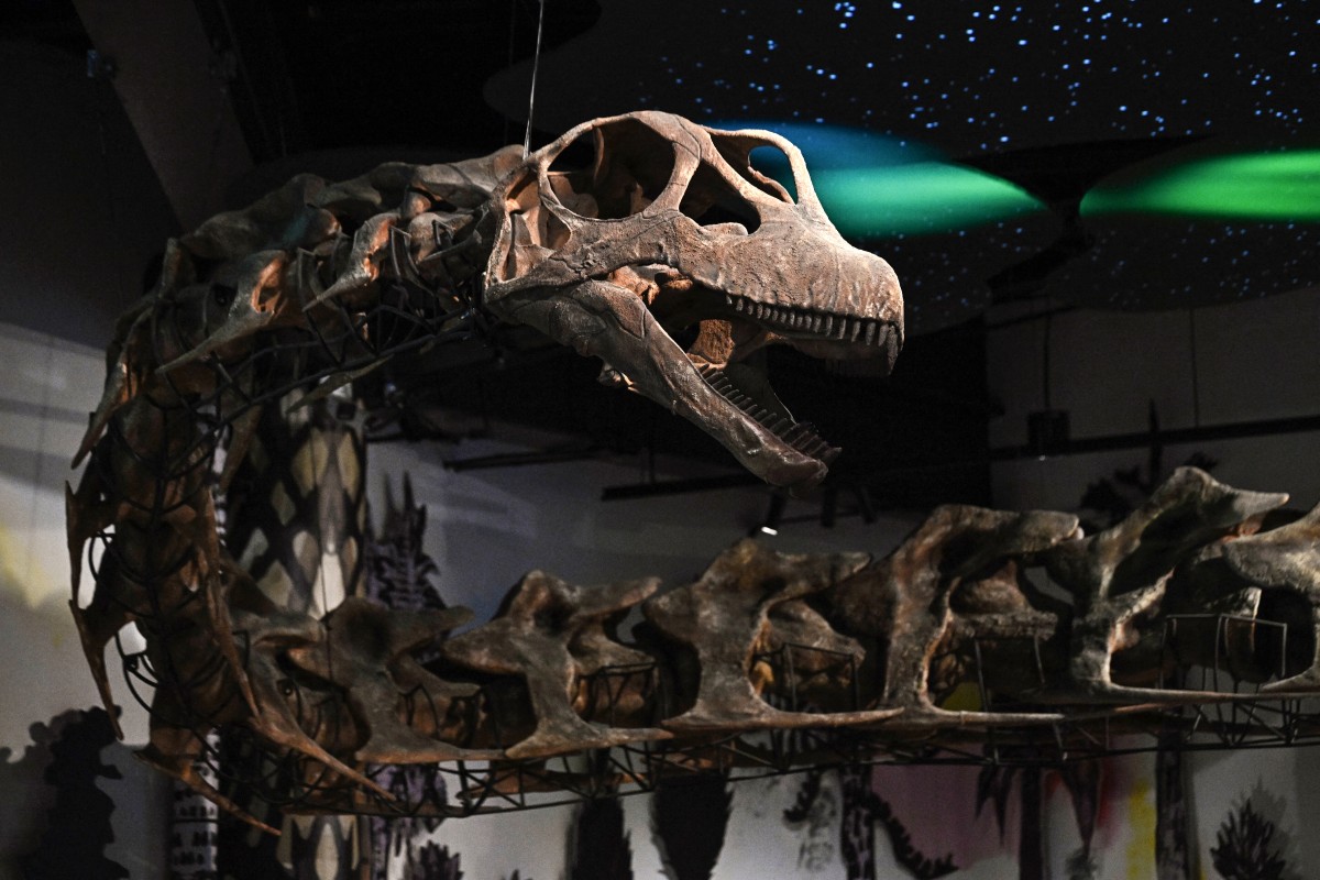 Identifican en Tailandia el dinosaurio más grande del sudeste asiático