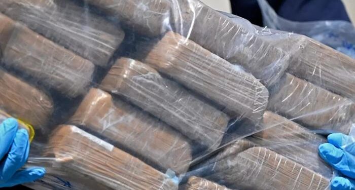 Decomisan más de 2 toneladas de droga en el sureste de México