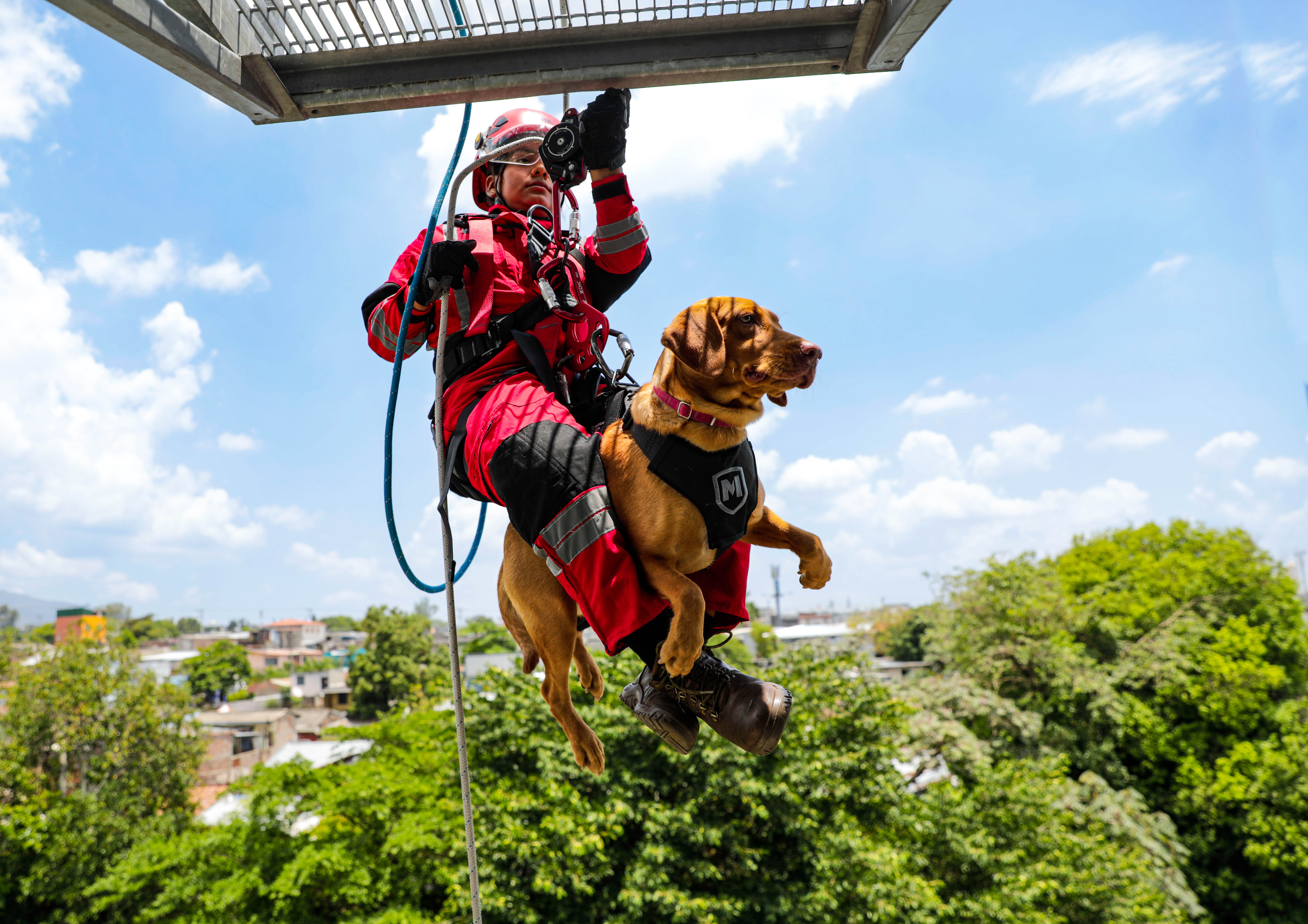 En 16 meses, Unidad Canina de la PNC ha localizado más de 200 kg de droga