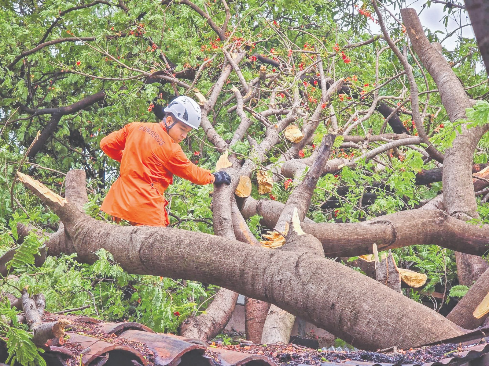 Fuerte lluvia causó diferentes emergencias en San Miguel
