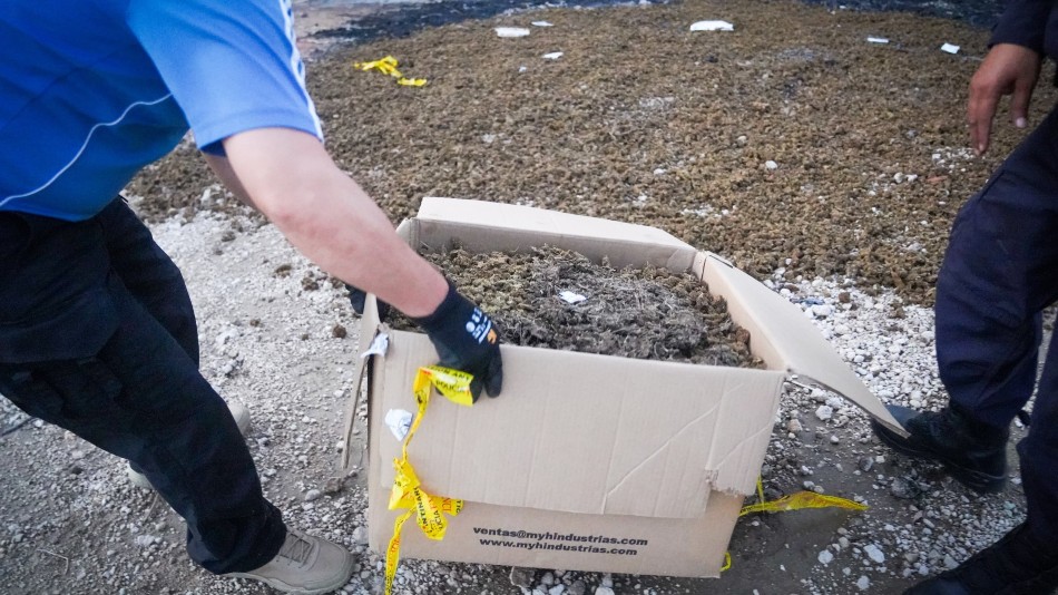 Autoridades destruyen cocaína, marihuana y metanfetamina