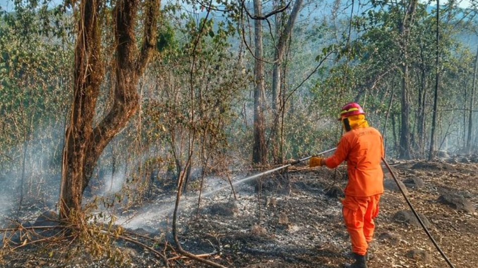 Bomberos registra 3,571 incendios en el 2026
