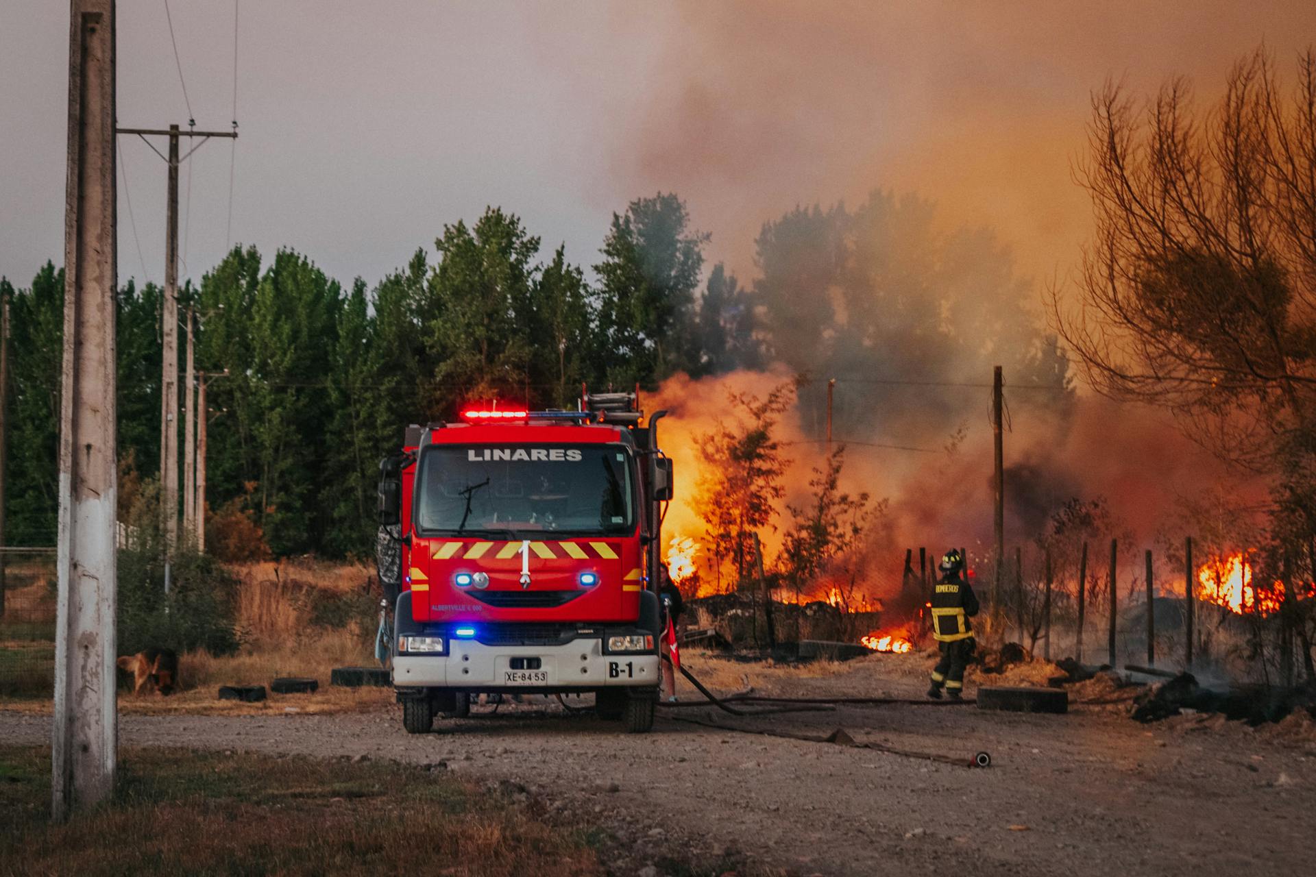 Científicos temen un año «particularmente severo» en cuanto a incendios en el mundo