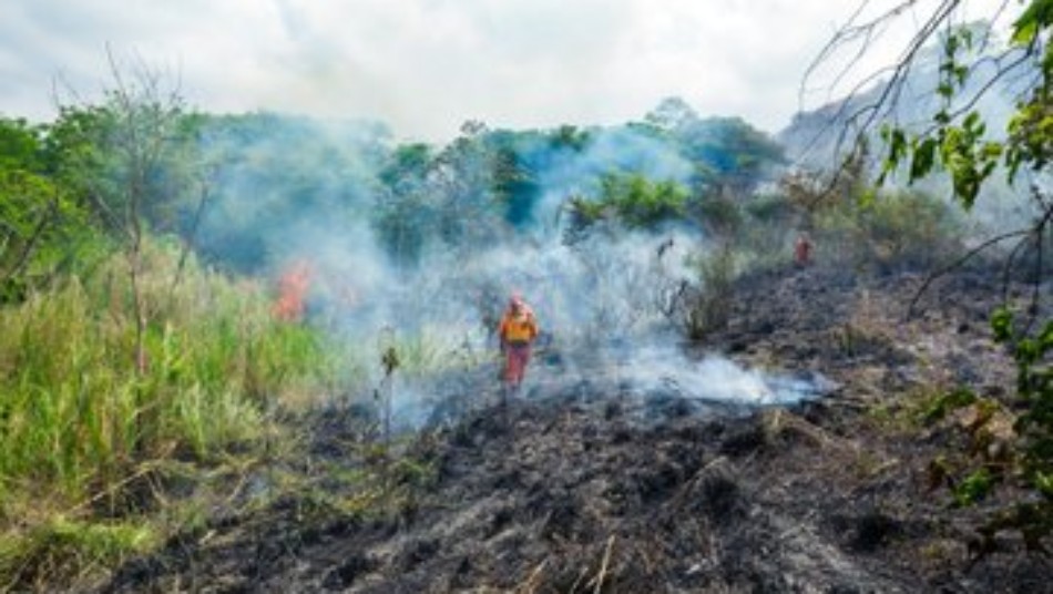 Bomberos llama a evitar las quemas agrícolas y advierte sanciones