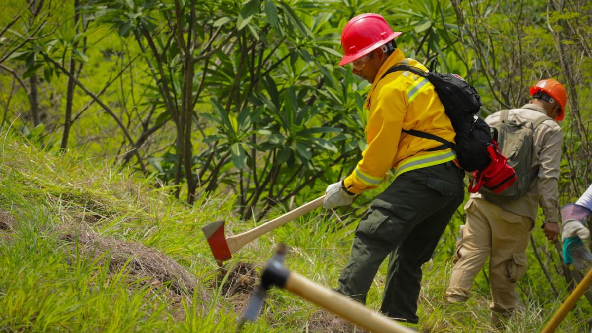 Bomberos se preparan para atender incendios forestales
